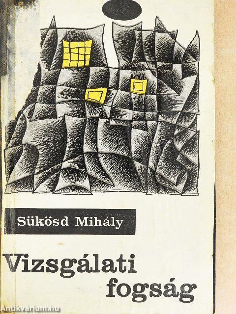 Vizsgálati fogság