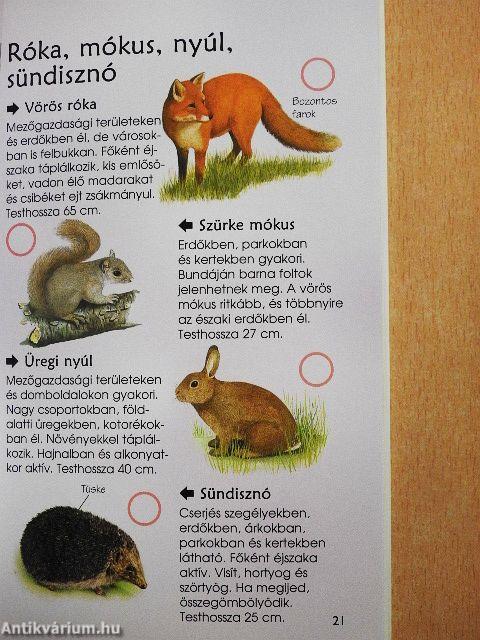 Séta a természetben