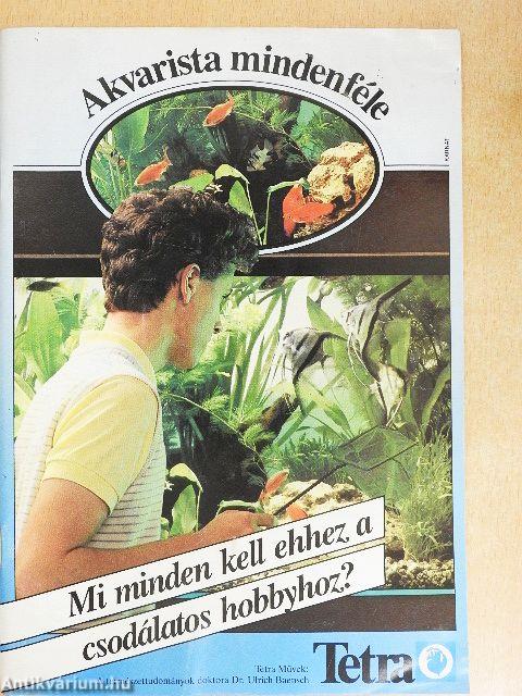Akvarista mindenféle