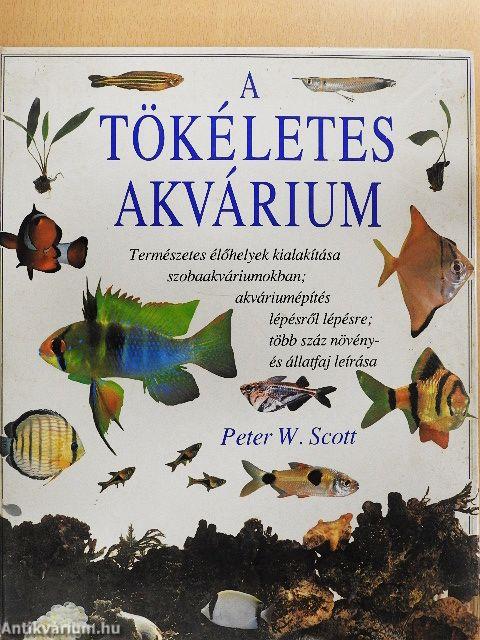A tökéletes akvárium