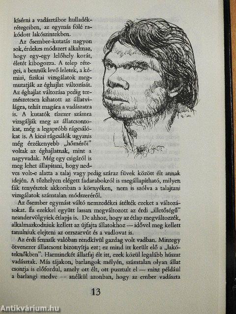 A magyar régészet regénye