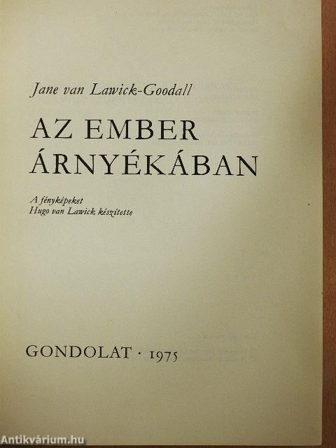 Az ember árnyékában