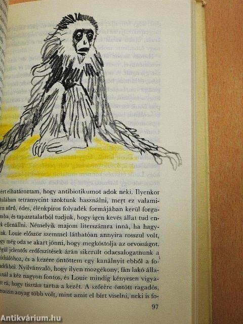 Állatkert a kastély körül