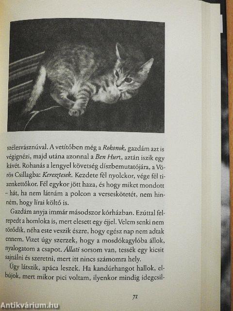 Örömhozó, bánatrontó