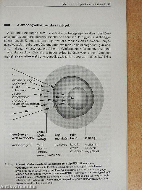 A rák komplex kezelése