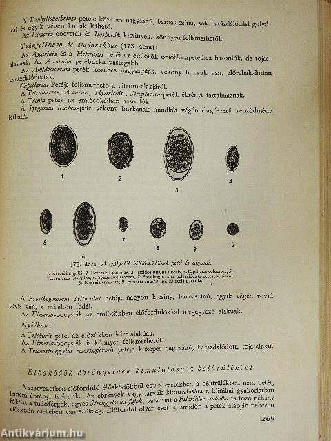 Állatorvosi belgyógyászati diagnosztika