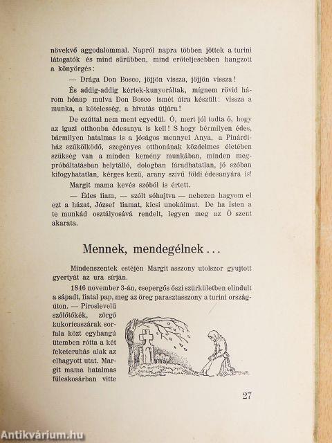 Az ifjúság apostola II.