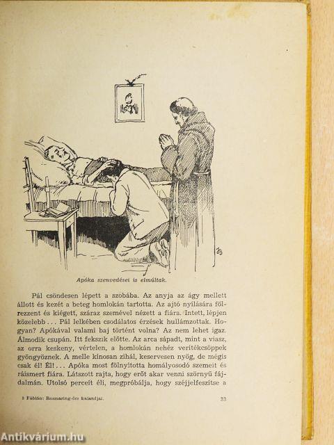 A Rozmaring-őrs kalandjai