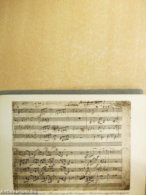 Streichquartett F moll