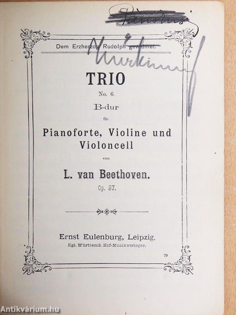 Trio No. 6