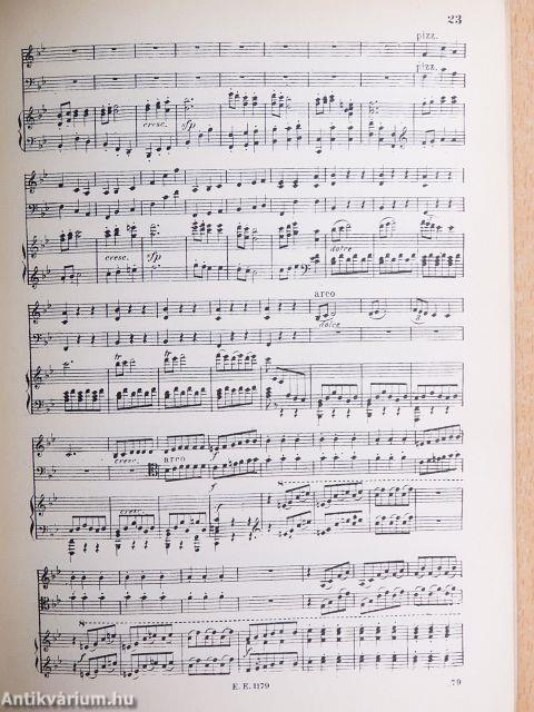 Trio No. 6