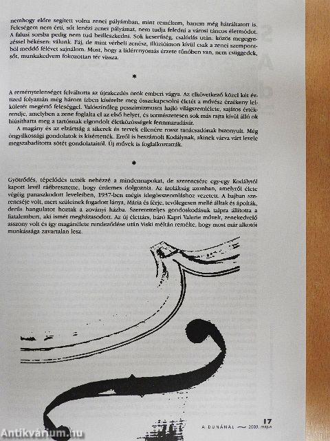 A Dunánál 2003. május