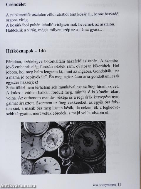 Írni aranyecsettel (dedikált példány)