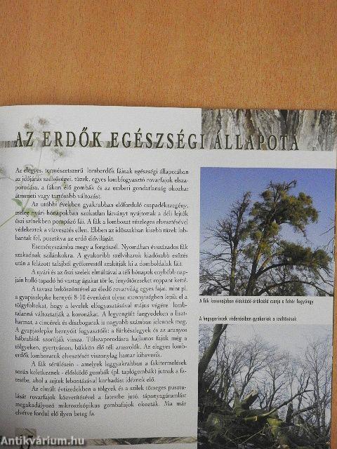 Erdők