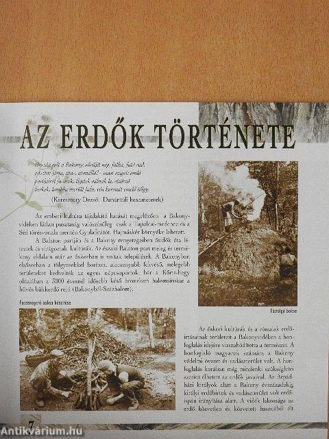 Erdők