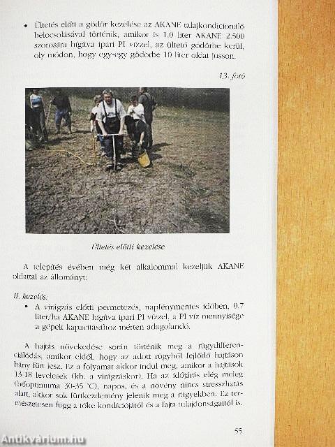 Az életenergia