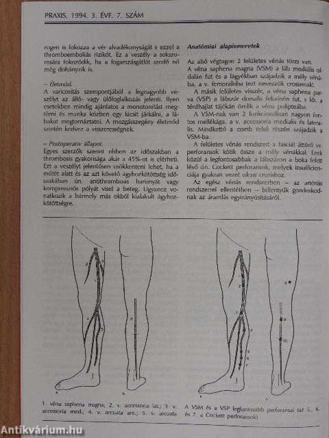 Praxis 1994/1-12.