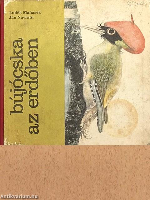 Bújócska az erdőben