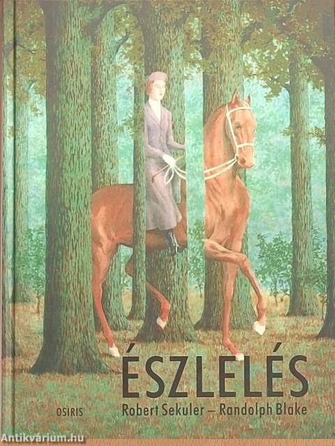 Észlelés