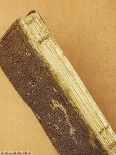 Calendarium archi - dioecesanum