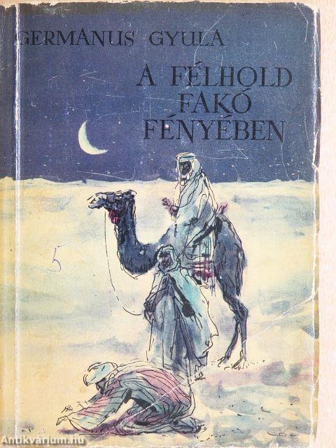 A félhold fakó fényében