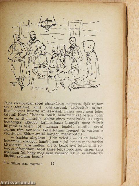 A félhold fakó fényében
