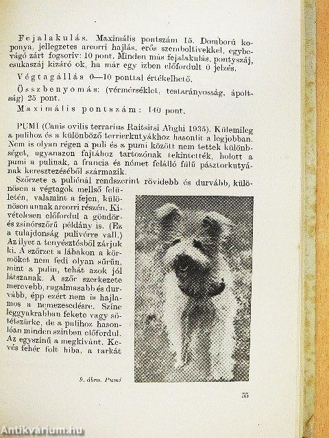 A kutya