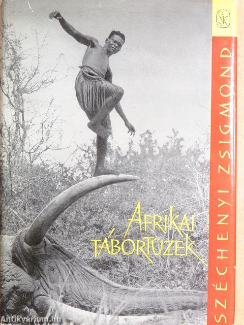 Afrikai tábortüzek