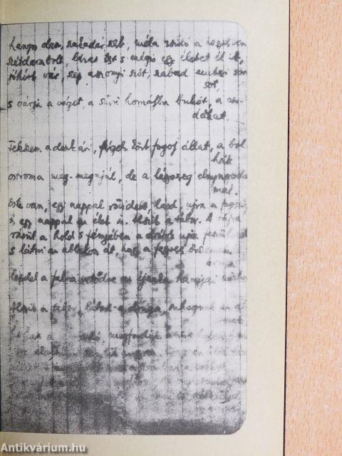 Bori notesz/Bori notesz melléklet