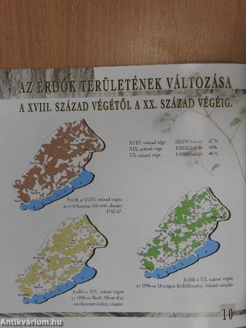 Erdők