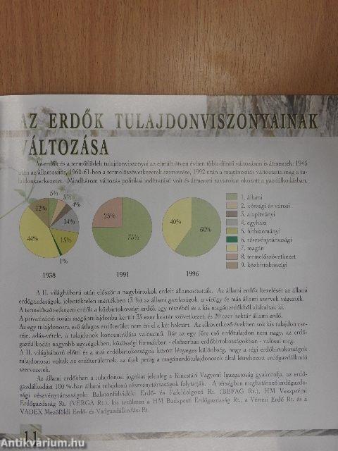 Erdők