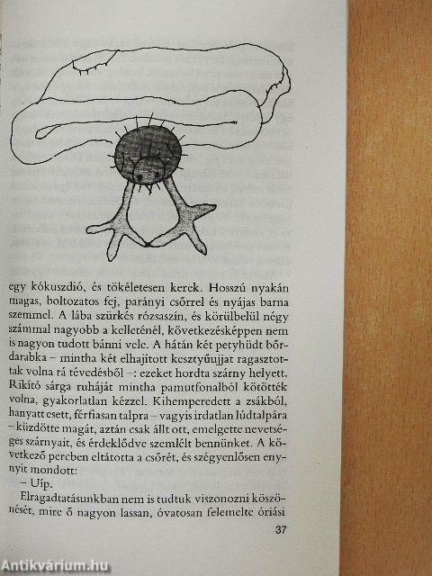 A részeg erdő