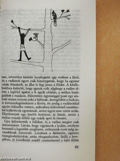 A bafuti kopók