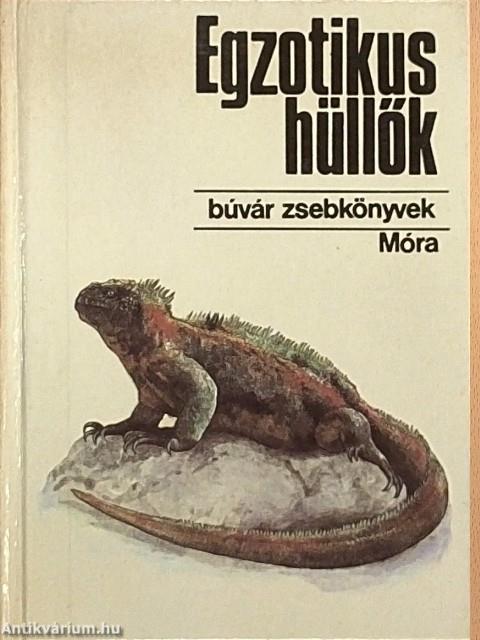 Egzotikus hüllők