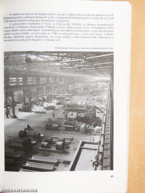 40 éves a Dunai Vasmű