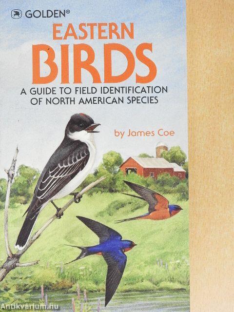 Eastern Birds