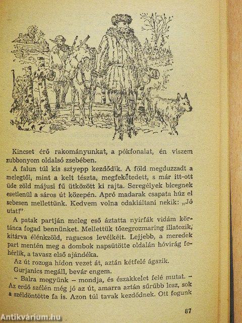 A Medve-szurdok