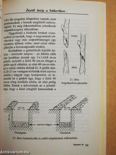 Ősztől őszig a kiskertben