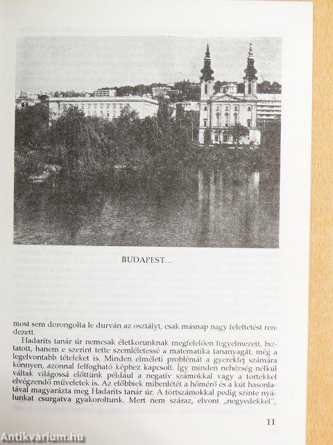 "Hadarits tanár úr..."