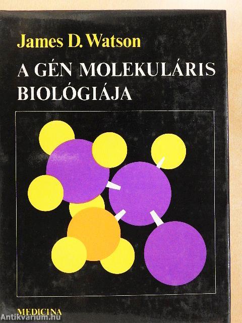 A gén molekuláris biológiája