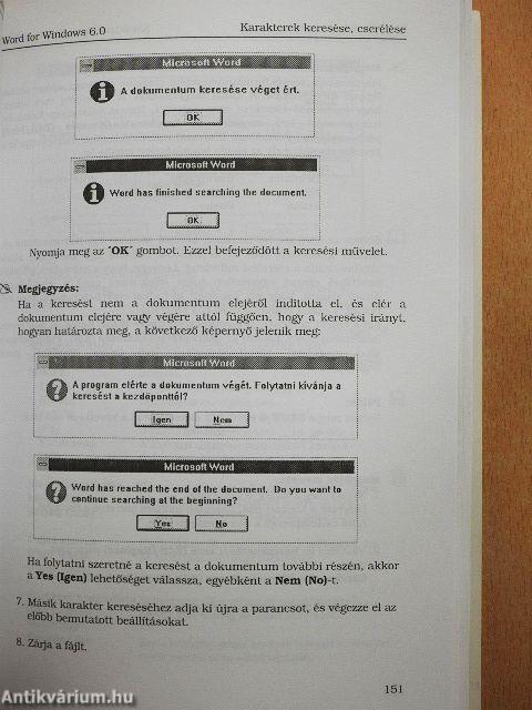 Word for Windows 6.0