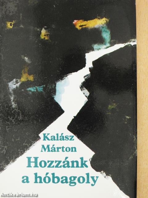 Hozzánk a hóbagoly (dedikált példány)