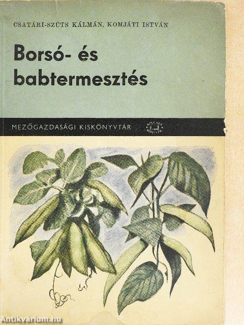 Borsó- és babtermesztés