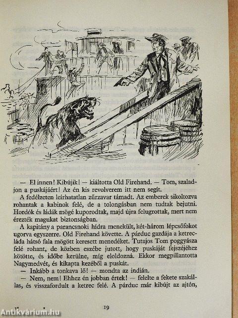 Az Ezüst-tó kincse