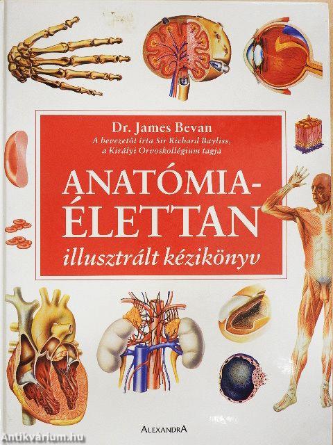 Anatómia - Élettan