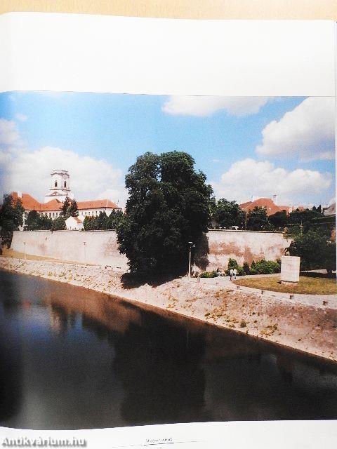 Magyar várak