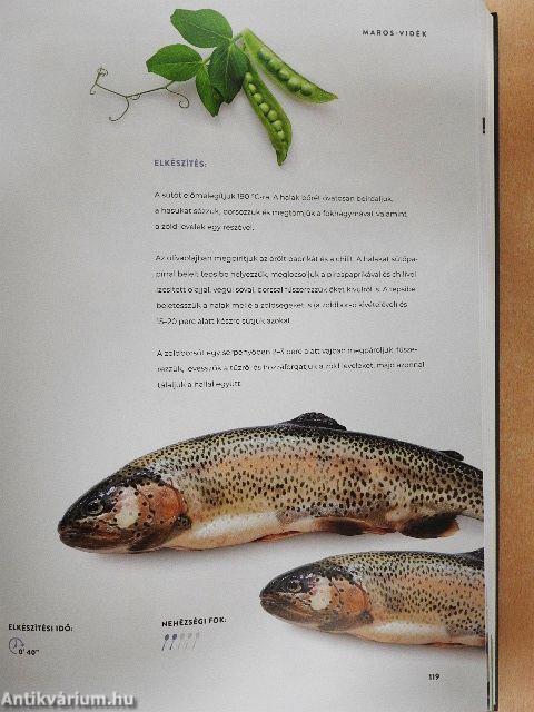 Sercegés és erdőzúgás