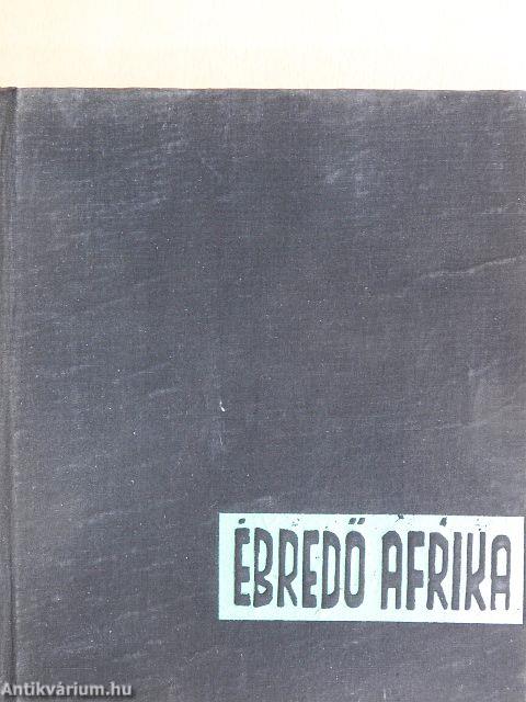 Ébredő Afrika