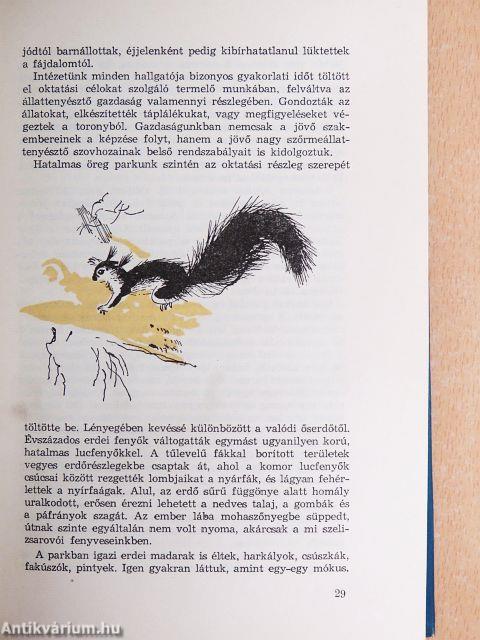 Védett erdők sűrűjében