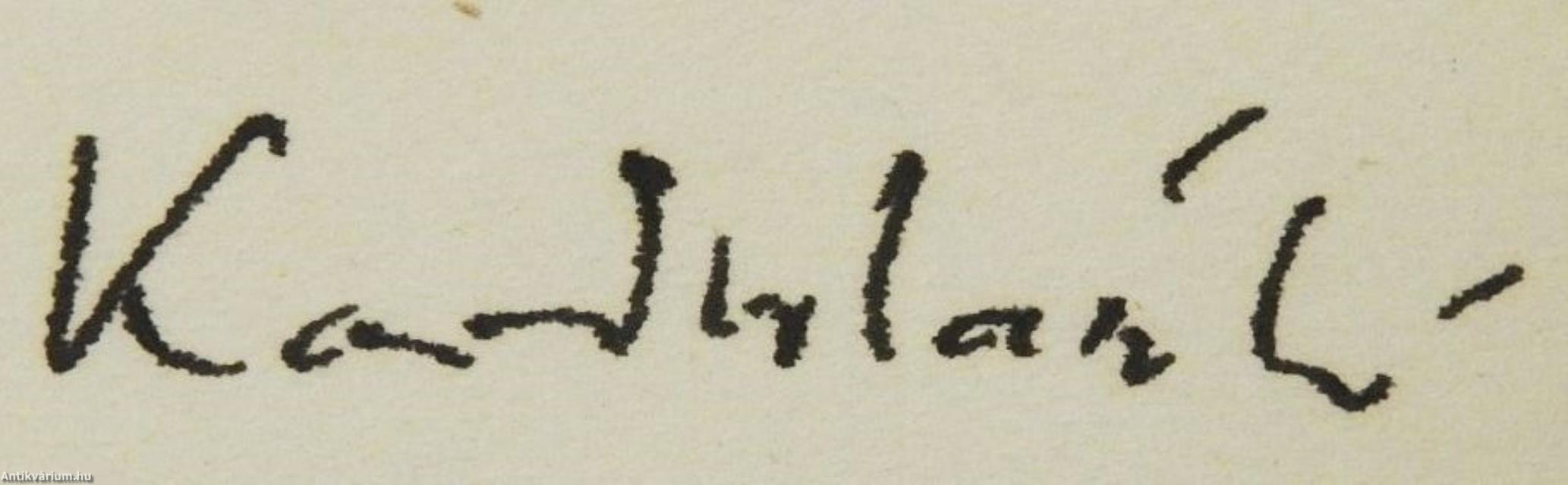 Versek (dedikált példány)